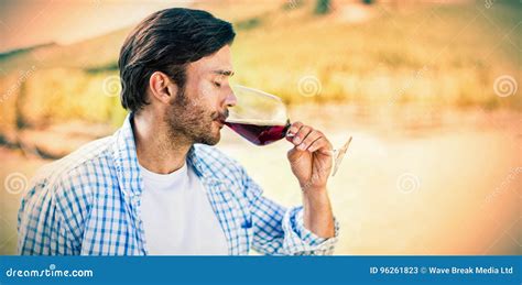 Man drinking red wine stock image. Image of activities - 96261823