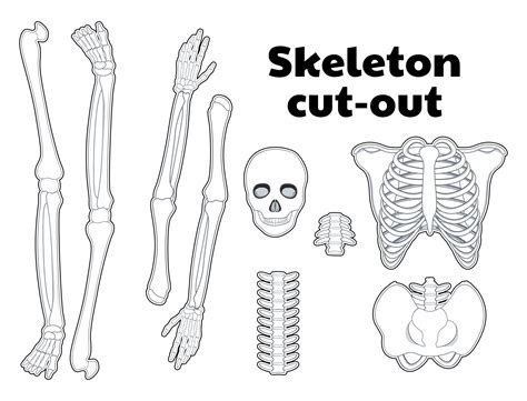 Free Printable Skeleton Template Cut Out