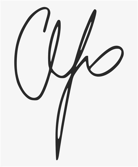 Chris Jericho - Chris Jericho Signature Transparent PNG - 768x1024 ...