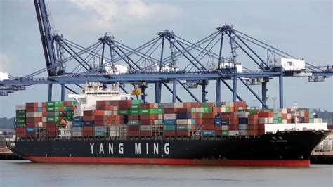 More newbuildings and containers on Yang Ming’s horizon