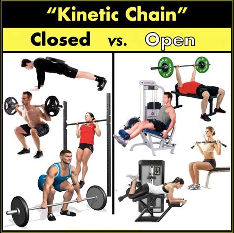 Closed and Open Kinetic Chain Exercises • Bodybuilding Wizard