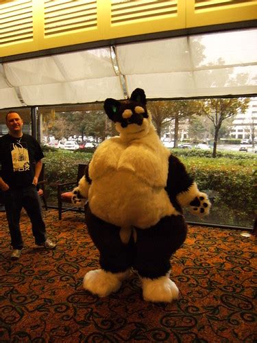 Fat Fursuit | This was really odd but very cuddly. | Zuki Akula | Flickr