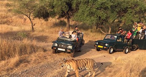 Golden triangle tour with Ranthambore by Trek India tours - TourRadar