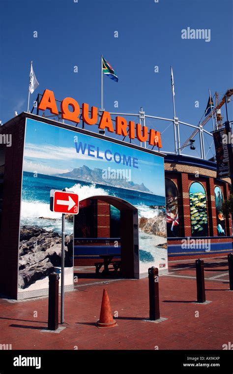 Two Oceans Aquarium Cape Town Entrance Fee - Aquarium Views