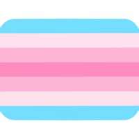 transfem_flag - Discord Emoji