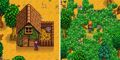 Stardew Valley: How To Feed Chickens