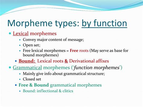 PPT - Morphology PowerPoint Presentation, free download - ID:1014423