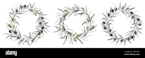 Set of watercolor olive branch round wreath with black and green fruit ...