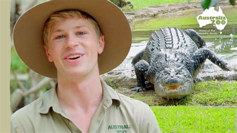 A croc move like no other | Australia Zoo Life - YouTube