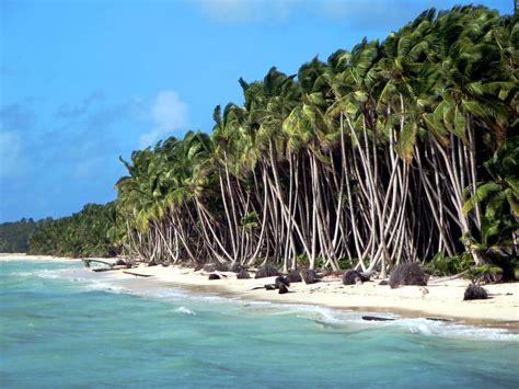 Coconut Plantation | The Cocos (Keeling) Islands were one gi… | Flickr