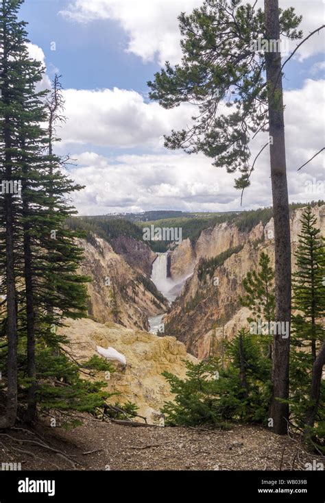 Grand Canyon of the Yellowstone National Park with Waterfall and trees ...