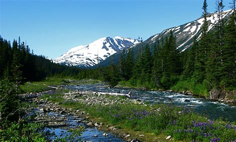 Hiking - Discover Houston BC