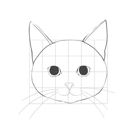 How to draw a cat (1) How to draw a basic face | MediBang Paint - the ...