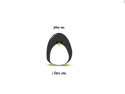 Penguinpoke, poke the penguin, flash game, HD wallpaper | Peakpx