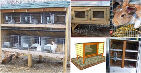 10 Free DIY Rabbit Hutch Plans That Make Raising Bunnies Easy - DIY & Crafts