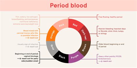 How Much Clotting Is Normal After Giving Birth at tarafgilmore blog