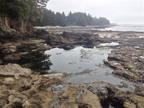 Juan de Fuca/Botannical Beach ©BC Parks | Go Camping BC