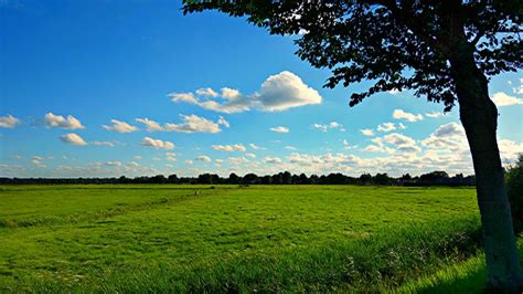 Beautiful Weather for Earth Day