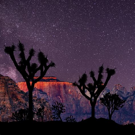 Desert Night Sky Cactus Southwestern Landscape Photograph by Aaron Geraud