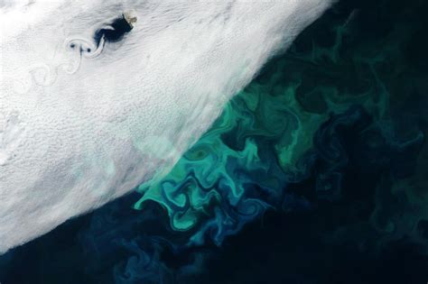 Twists of Nature: Spectacular Swirls in the Sky and Sea Around Norway’s Remote Bear Island