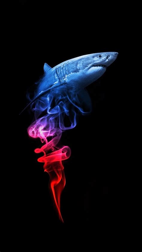 Baby Shark Wallpaper Hd – Gudang Materi Online