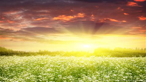 HD Morning Spring Sunrise Wallpapers HD Full Size HiReWallpapers 6674 Desktop Background