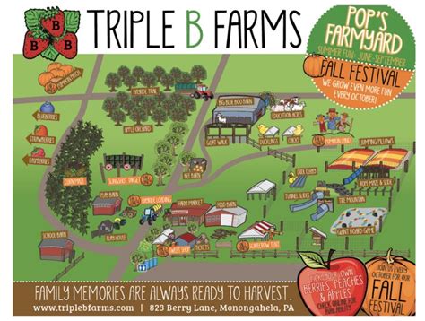 Pumpkin Patch Series: A Guide to Triple B Farms | Family fun, Farm, Fun