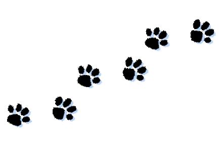 Cat paw print clipart kid – Clipartix