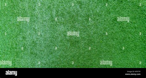 Short green grass texture and background Stock Photo - Alamy