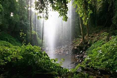 Lush rainforest towers Crystal Shower Falls - World Fun Vacation