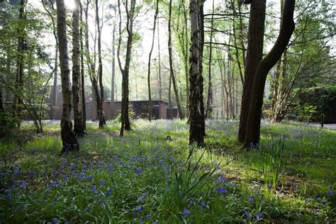 Oakley Wood Crematorium en Bishops Tachbrook, Warwickshire - Cementerio Find a Grave