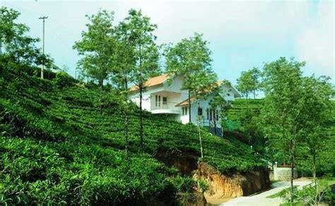 10 Best Vagamon Resorts For The Nature Lover