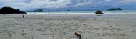 Top 5 Manuel Antonio Beaches