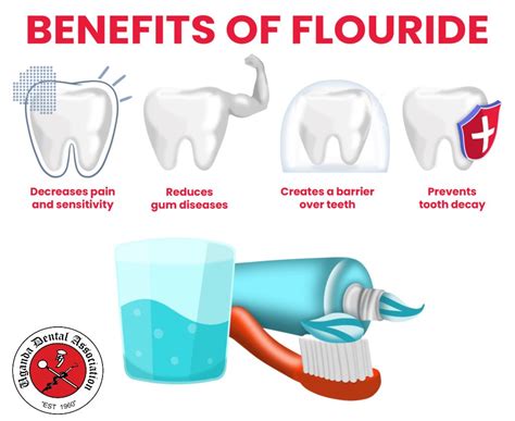 Unveiling the power of fluoride - Uganda Dental Association