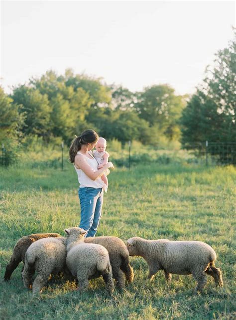 Babydoll Sheep Size & Personality | Everly & Raine Co.