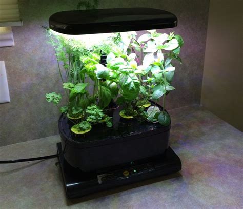 18 Best Indoor Hydroponic Grow Systems and Garden Kits 2021 ...