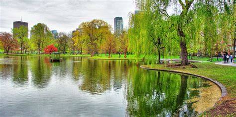 Is Boston the Greenest American City? | HuffPost Impact