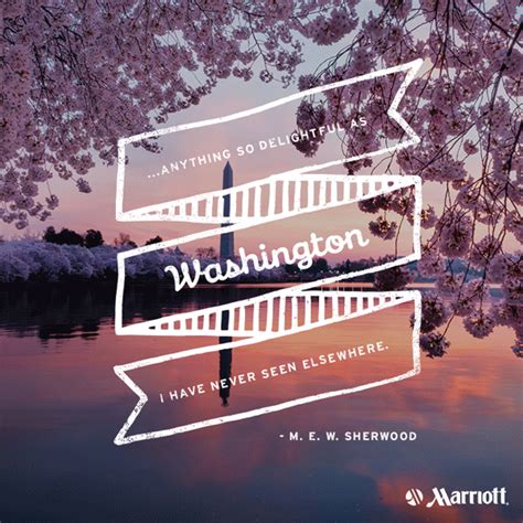 Washington DC Cherry Blossom Festival Illustrated Quotes | Lemonly ...