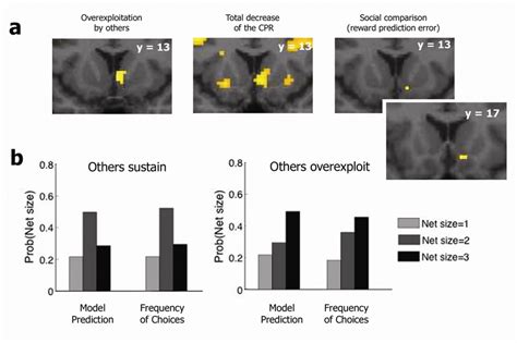 | Neural activity involved in monitoring and managing CPR exploitation.... | Download Scientific ...