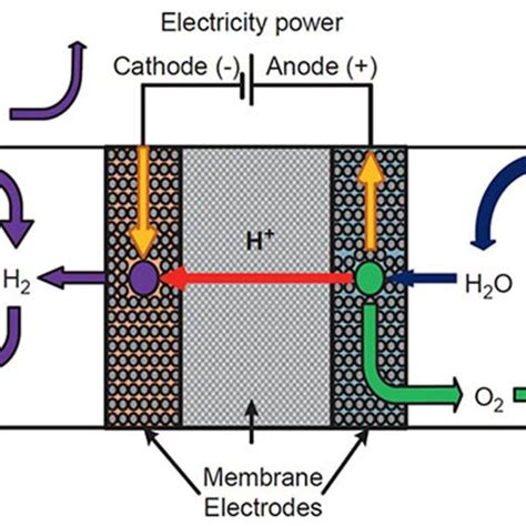 The fundamental design and operation of a proton-exchange membrane ...