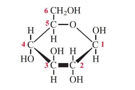 Beta Glucose 3D Model