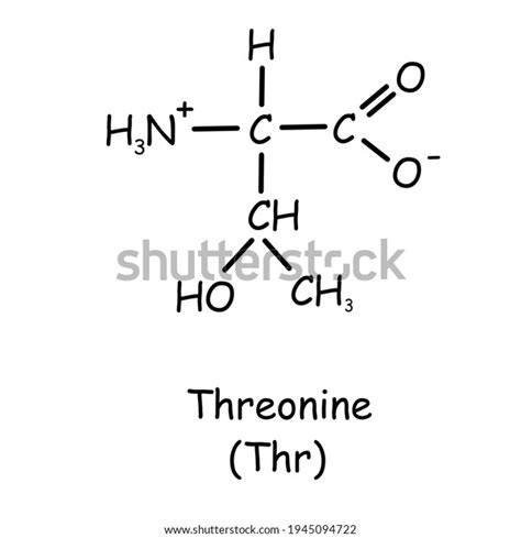 아미노산 화학구조 - 트리오닌(Threonine) 스톡 일러스트 1945094722 | Shutterstock