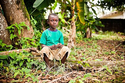 Liberia Rainforest Stock Photos, Pictures & Royalty-Free Images - iStock