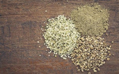 Hemp Protein Powder: Everything You Need To Know - Onnit Academy