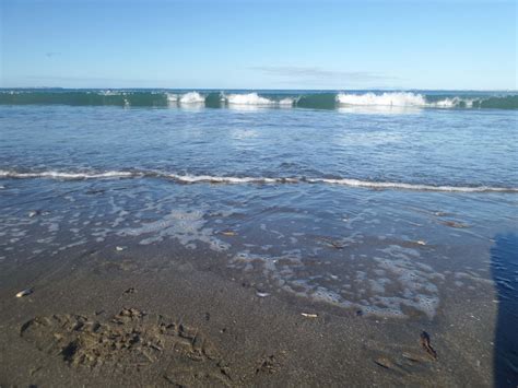 Exploring the Milford Beach Reserve