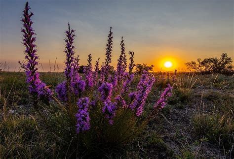 San Angelo State Park | Texas Time Travel