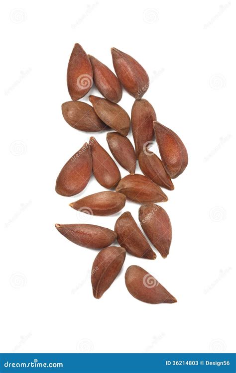 Apple Seeds Stock Photos - Image: 36214803