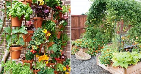 30 Small Garden Ideas That Will Inspire You To Go Green