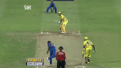 Ms Dhoni Helicopter Shot GIF – MS DHONI Helicopter Shot – discover and share GIFs