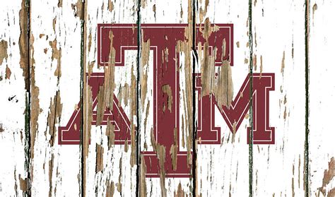 Texas A and M University Vintage College Logo Peeling Barn Wood Paint ...